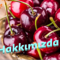 Hakkımızda